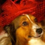 Profile photo of Jean Marie Sindelar
