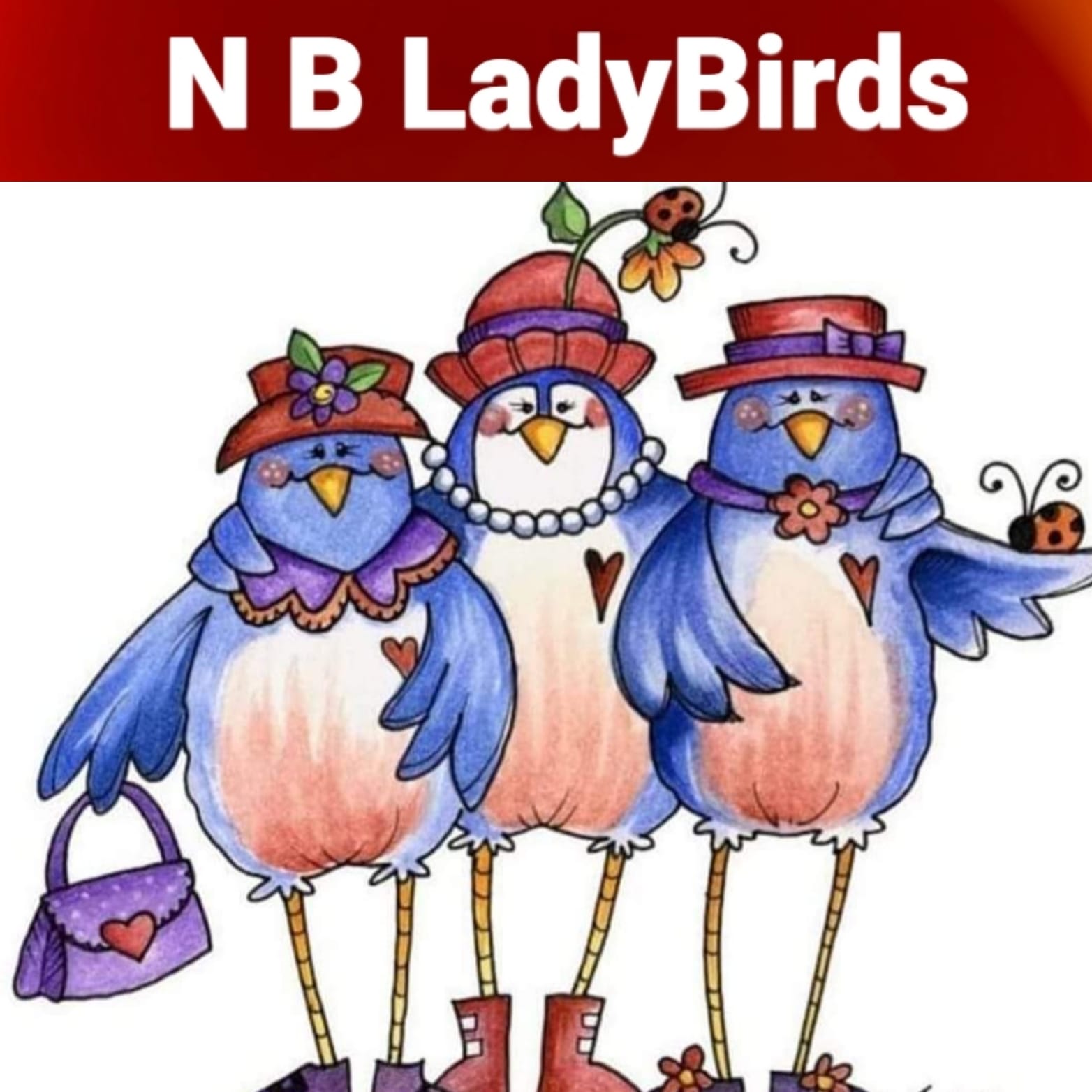 NB LadyBirds